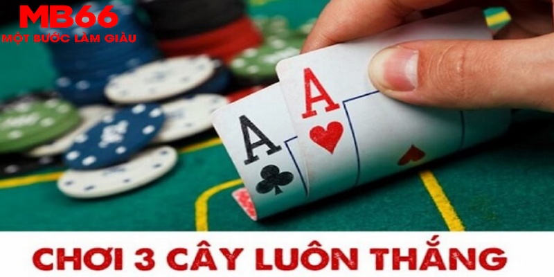 7789bet SA Trực Tuyến