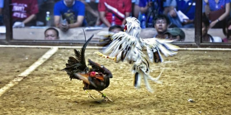 7789bet xổ số miền bắc hôm quả