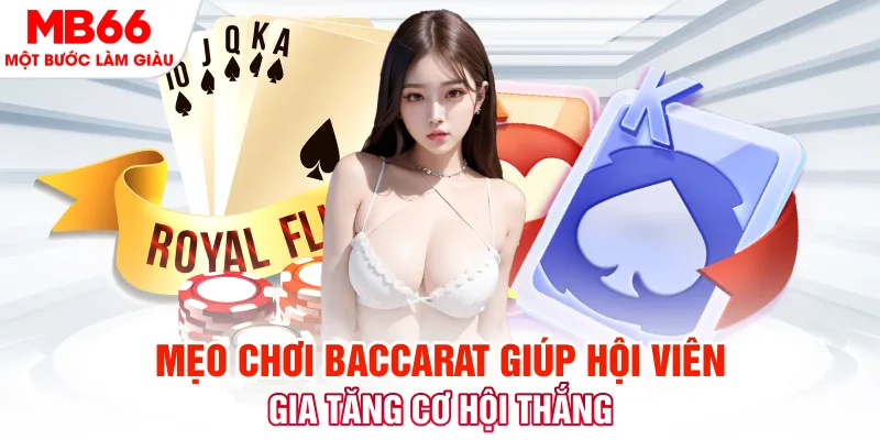 7789bet đá gà 88