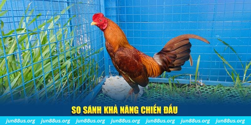 7789bet xổ số tiền giang