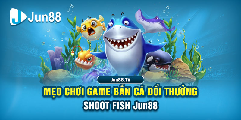 7789bet tai game danh bai bigkool ve may tinh