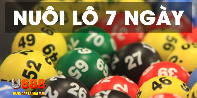 7789bet IM Thể Th
