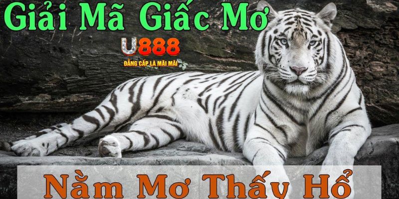 7789bet xổ số kiến thiết miền bắc