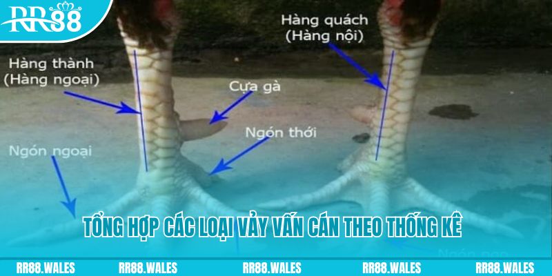 7789bet nổ hũ chơi như thế nào