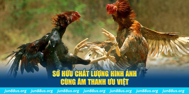 7789bet tai game danh bai ve may tinh