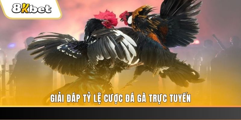 7789bet xổ số ba đài