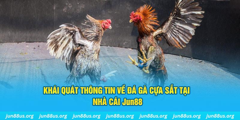 7789bet game bài trên máy tính