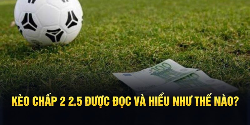 7789bet đá gà thomo